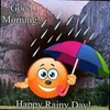 Anand Reddy