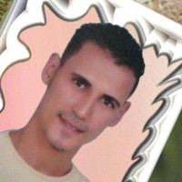 Hady Abdelalim