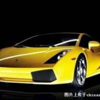 水恋鱼