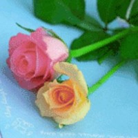 Shamsudheen K Abdulla