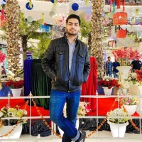 Rizvi Ali