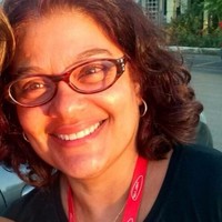 Simone Brisolara de Freitas