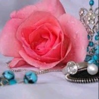 Divya U S