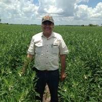 JAIME  ENRIQUE SANCHEZ RUELAS