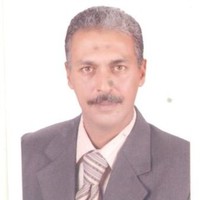 salaheldin mohamed
