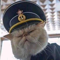 Дмитрий Булгаков