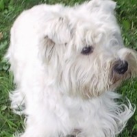 Bellezza Gloria