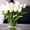 youmna h