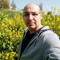 פליקס שוורצמן