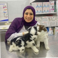 Aya Ashour