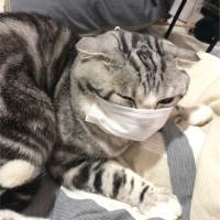 程晓琳