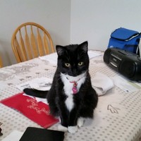 Debbie Seal