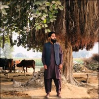Hafiz Muhammad Usman Toor