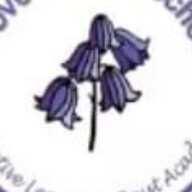 Grove Primary School
