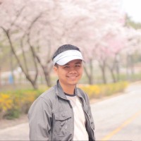 Vui Nguyen