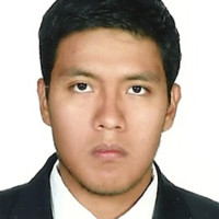 Francisco Meneses Tapia