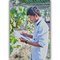 Dattatray Shinde