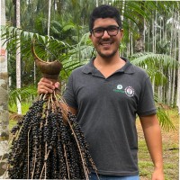 Francisco Filho