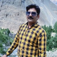 Ali Riaz