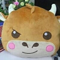 魏玉龙