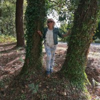 Estrella Camino B