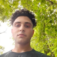 Sarkis Najarian