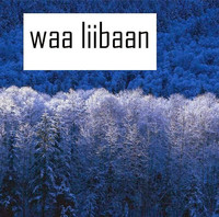 Liibaan Cabdule