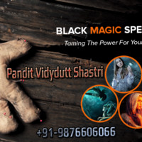 Pandit Vidyadut Shastri