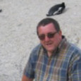 Mark Stead