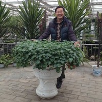 陈发明
