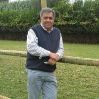 Jaime H. Alarcón Meléndez Publicista, Ilustrador, Diseñador Gráfico