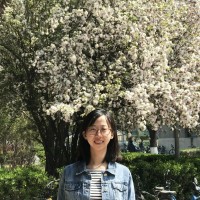 Xin Jin