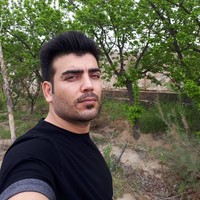 mojtaba rokne