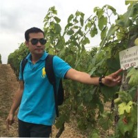 Victor Wei