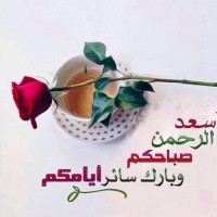 Rabei Ahmed