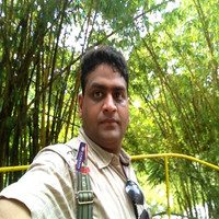 Ashish Matta