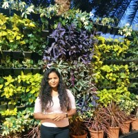Pushpa D