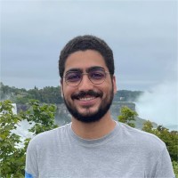 Alireza Beitari