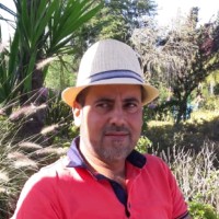 Hicham Mihoubi