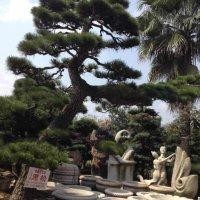 林培春