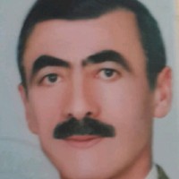 Hasan GÜRBÜZ