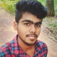 Vigneshan P