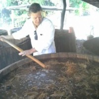Phillip Soto Mares
