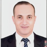 Amir Elzwawy