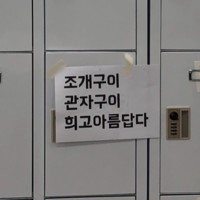 Kwanhee Cho