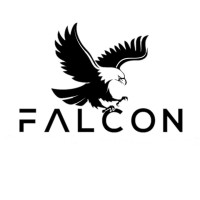 Falcon Consulting