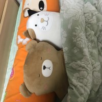 HJ S