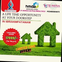 Hmda Open Plots