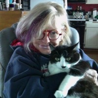 Kellys Cat Care Kelly Craft-Abram