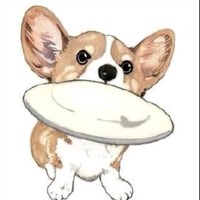 付广宇